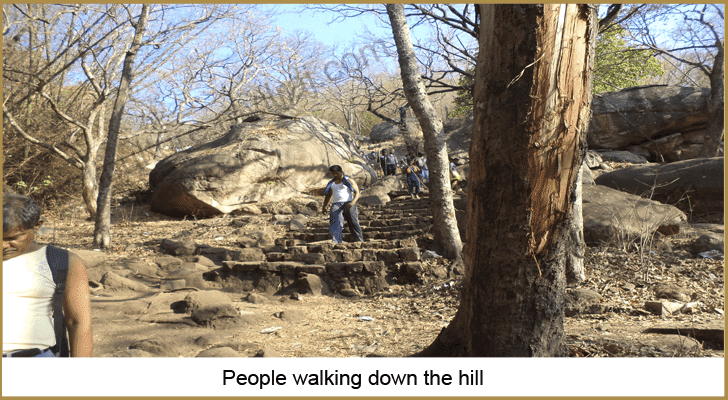 People Walking Down the Hill